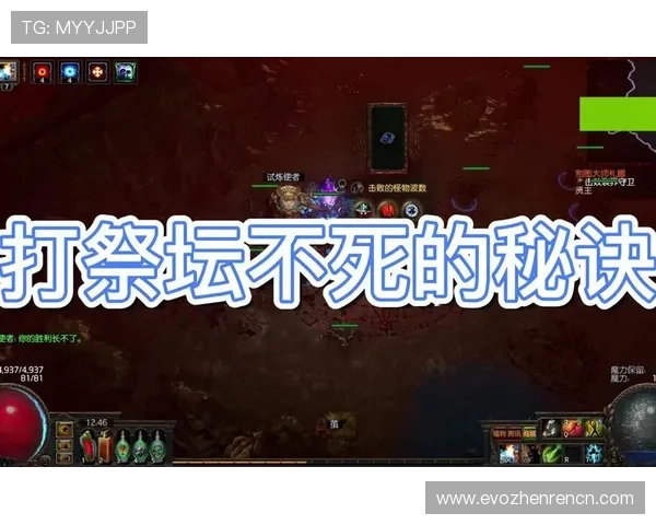 掌握三株路反打策略提升你的游戏操作水平快速赢得比赛
